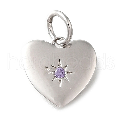 925 Sterling Silver Micro Pave Clear Cubic Zirconia Charms STER-V001-01P-06-1