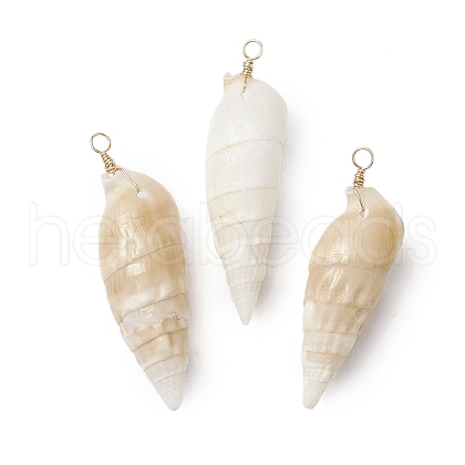 Natural Spiral Shell Pendants PALLOY-JF02951-1
