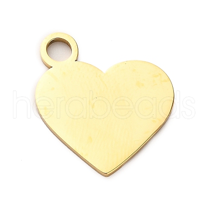 304 Stainless Steel Pendants STAS-M117-01B-G-1