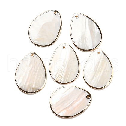 Natural Freshwater Shell Pendants BSHE-G034-15-1