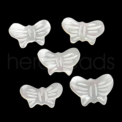 Natural White Shell Charms BSHE-G034-31-1