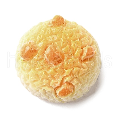 Cute Opaque Resin Cabochons RESI-L046-C05-1