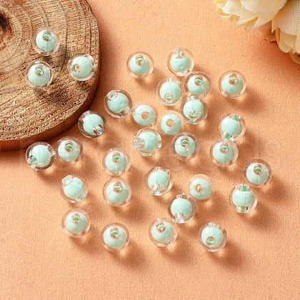 Transparent Acrylic Beads TACR-S135-002B-1