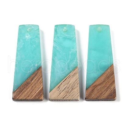 Resin & Wood Pendants WOOD-F015-04E-1