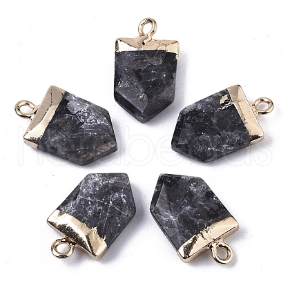 Natural Larvikite Pointed Pendants X-G-N326-34B-1
