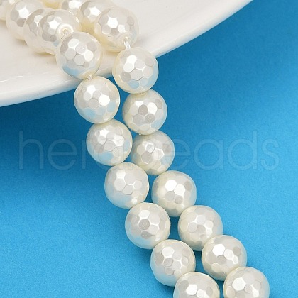 Shell Pearl Beads Strands PEAR-XCP0001-12-1