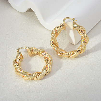 Brass Hoop Earrings for Women EJEW-F365-01G-1