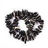 Natural Black Lip Shell Beads Strands SSHEL-N040-17-2