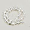 Shell Pearl Beads Strands BSHE-K010-05A-1