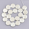 Shell Pearl Beads Strands SSHEL-T007-22F-2