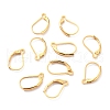 Ion Plating(IP) 304 Stainless Steel Leverback Earring Findings STAS-K233-04G-01-2
