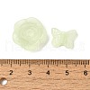 Frosted Transparent Acrylic Beads OACR-U006-03E-3