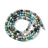 Natural African Turquoise(Jasper) Beads Strands G-N342-29A-3