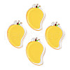 Translucent Acrylic Pendants TACR-N013-013-1