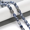 Natural Blue Spot Jasper Beads Strands G-I369-B01-01-2