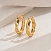 Elegant Stainless Steel Hoop Earrings TG2342-3-1