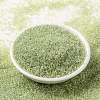 MIYUKI Round Rocailles Beads SEED-JP0010-RR1135-2