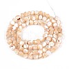 Natural Trochid Shell/Trochus Shell Beads Strands SSHEL-N040-11-2