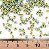 8/0 Glass Seed Beads SEED-S006-31-4
