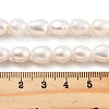 Natural Cultured Freshwater Pearl Beads Strands PEAR-P062-17B-5