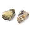 Natural Crazy AgateCarved Figurines DJEW-L023-B05-2