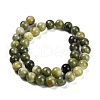 Natural TaiWan Jade Beads Strands G-B128-A07-04-5