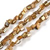 Dyed Natural Freshwater Shell Beads Strands SHEL-P016-01A-1