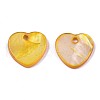 Natural Freshwater Shell Charms SHEL-R113-17I-2