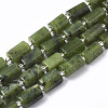 Natural Canadian Jade Beads Strands G-S345-8x11-006-3