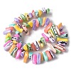 Dyed Natural Trochus Shell Beads Strands X-SSHEL-C013-09G-2