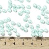 6/0 Glass Seed Beads SEED-L011-08A-14-4