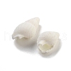 Natural Spiral Shell Beads BSHE-G038-06A-2