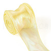 10 Yards Polyester Iridescent Ribbon OCOR-TAC0017-04A-12