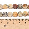 Natural Crazy Agate Beads Strands G-M454-B10-4