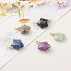 Natural Mixed Gemstone Charms PALLOY-JF00748-5