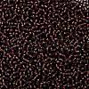 TOHO Round Seed Beads SEED-JPTR08-0026CF-2