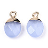 Faceted Glass Charms GLAA-N040-007B-3