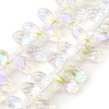 Electroplate Glass Beads Strands EGLA-B006-01A-FR03-1
