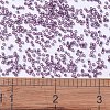 MIYUKI Delica Beads SEED-J020-DB2169-4