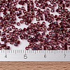 MIYUKI Delica Beads X-SEED-J020-DB1751-4