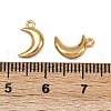 304 Stainless Steel Charms STAS-L290-70G-3