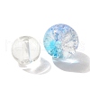 Mixed Style Glass Beads GLAA-XCP0012-02D-2