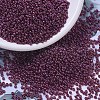 MIYUKI Round Rocailles Beads SEED-G007-RR0313-1