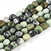 Natural Serpentine Beads Strands G-N346-04A-04-2