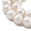 Natural Cultured Freshwater Pearl Beads Strands PEAR-C003-20A-4