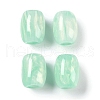 Resin European Beads RESI-F055-11A-1