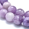 Natural Lepidolite/Purple Mica Stone Beads Strands G-M353-A01-10mm-4