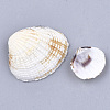 Clam Shell Beads SSHEL-S258-51-2