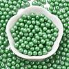 Baking Paint Glass Seed Beads SEED-H003-02C-2