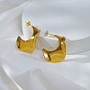 Stylish Stainless Steel Nuggets Stud Earrings NX6742-5